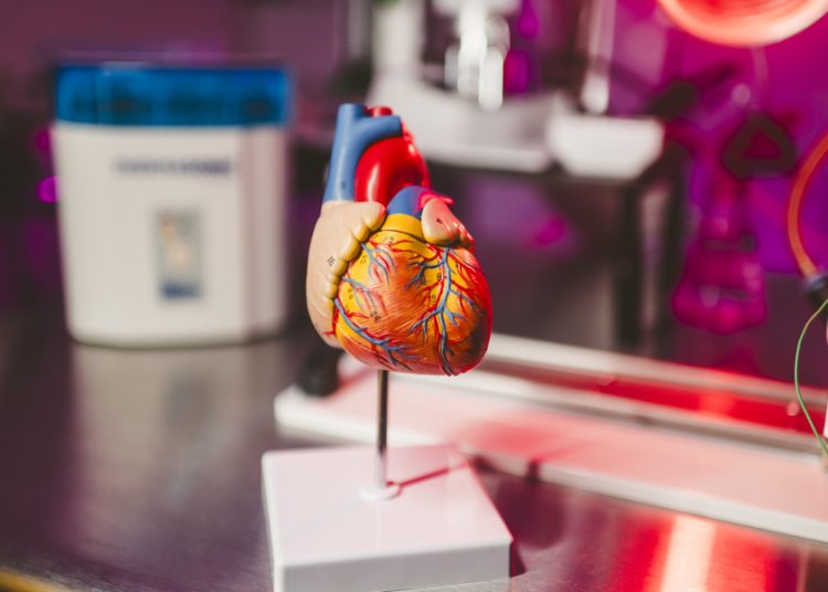 IA de EE.UU. busca prevenir infartos con latidos