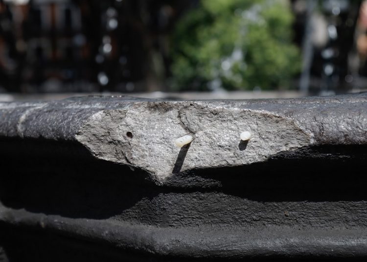 Aún se desconoce el monto de daños a la fuente de San Miguel