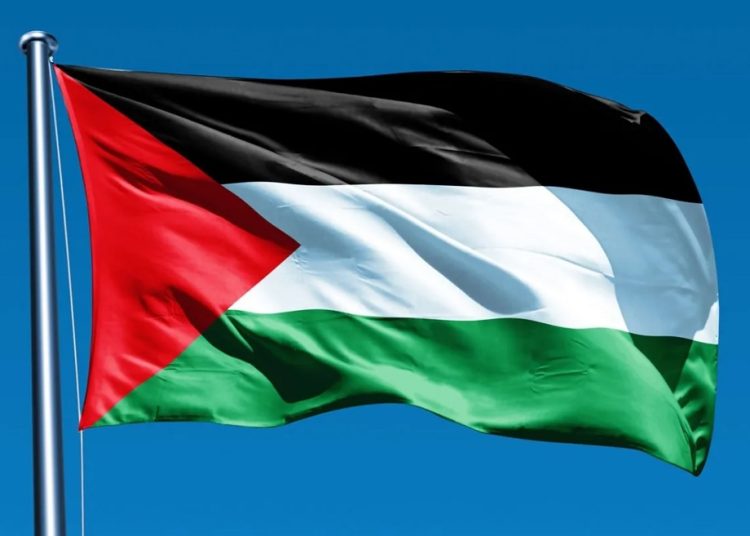 Reconocimiento del Estado palestino: apoyo más simbólico que efectivo
