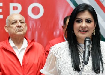 Mi posición dentro del PRI es institucional e independiente: Delfina Pozos
