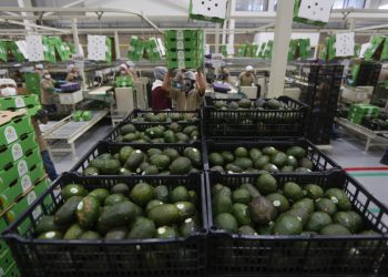 PIB de México cae un 0,3 % en tercer trimestre