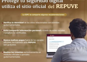 Cuidado: alertan por fraudes en páginas falsas que suplantan al Repuve