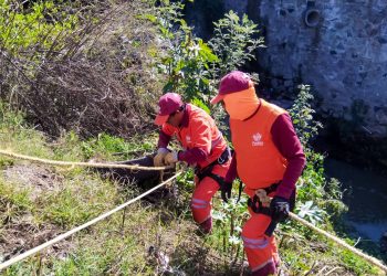 Gobierno de la Ciudad refuerza acciones de limpieza para prevenir inundaciones