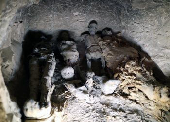 Antiguos huesos reflejan desigualdades sociales y de género