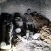 Antiguos huesos reflejan desigualdades sociales y de género