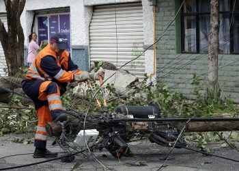 Ayuntamiento de Puebla ha atendido 817 caídas de árboles por lluvias