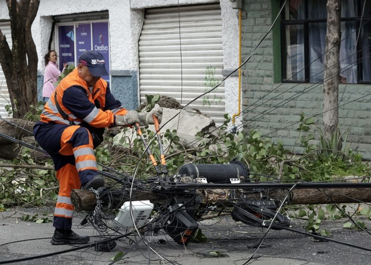 Ayuntamiento de Puebla ha atendido 817 caídas de árboles por lluvias