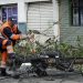 Ayuntamiento de Puebla ha atendido 817 caídas de árboles por lluvias