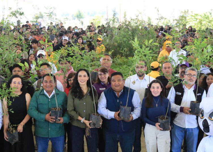 Con un millón 605 mil árboles, Gobierno de Puebla nutre el bosque