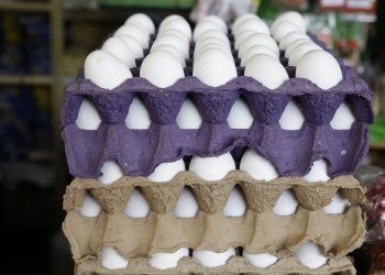 Puebla estima 3% de crecimiento en producción de huevo en 2026