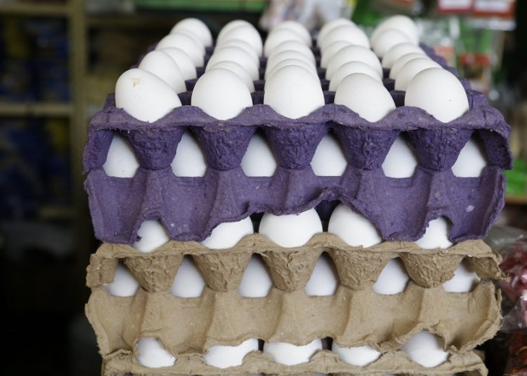 Puebla estima 3% de crecimiento en producción de huevo en 2026