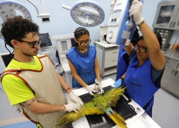 Zoológico del oeste de México protege 300 especies