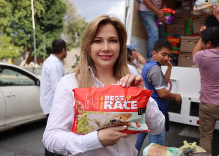 SEDIF envía 5 camiones más con ayuda humanitaria durante fin semana