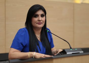 Delfina Pozos impulsa iniciativa para atender la salud mental materna