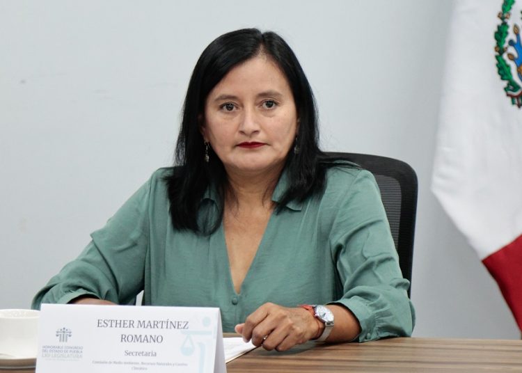 Esther Martínez Romano podría asumir coordinación de bancada del PT