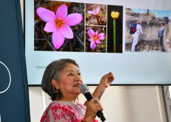 BUAP documenta diversidad botánica en Ciudad Universitaria 2