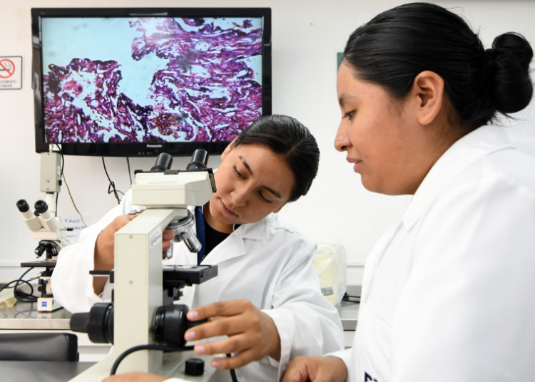Facultad de Enfermería BUAP tiene el mayor número de SNII en la región centro-sur