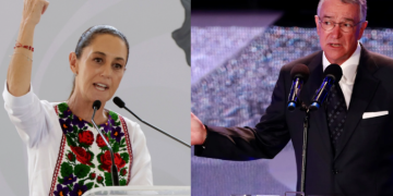 Ricardo Salinas, insensato