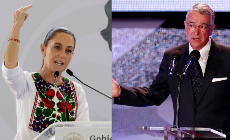 Ricardo Salinas, insensato