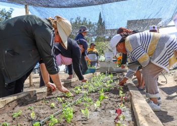 Con 100 mil pesos arrancan proyecto comunitario en Nopalucan: Sedif