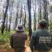 Gobierno de Puebla planta 50 mil pinos en el parque La Malinche