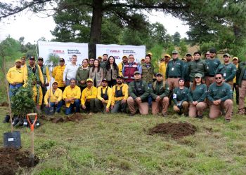 Conserva gobierno estatal los bosques y la vida silvestre
