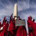 Protestas en Washington contra Trump tras victorias demócratas