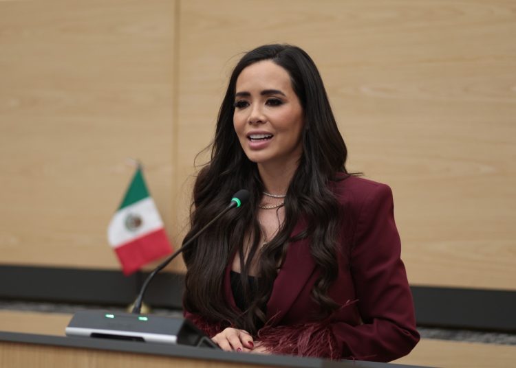Cada acción tuvo el objetivo de contar con un Estado más seguro: Graciela Palomares