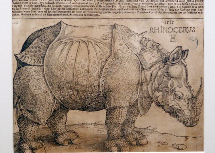Encuentran en Praga un original olvidado del ‘rinoceronte’ impreso por Durero en 1515