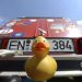 Muere el creador del clásico patito de goma hongkonés