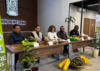 San Pedro Benito Juárez, estará de manteles largos con la celebración de la Feria del Aguacate
