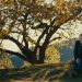 Documental biográfico ‘Solo Javier’ llega a los cines de Puebla