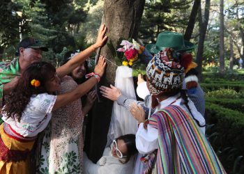 Boda con árboles busca crear conciencia sobre la deforestación