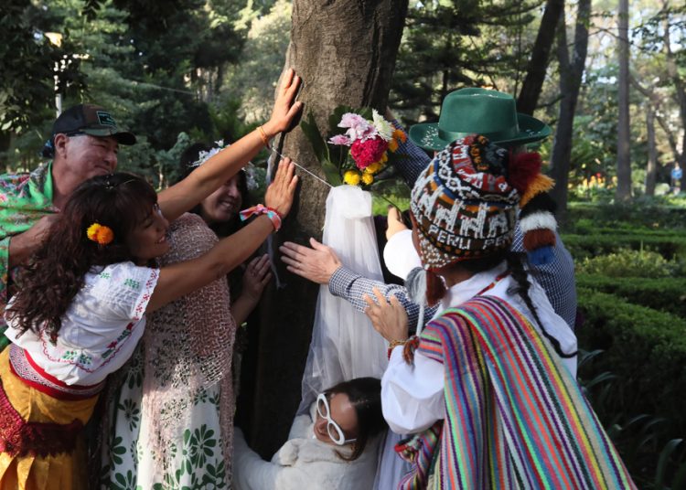 Boda con árboles busca crear conciencia sobre la deforestación