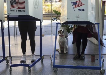 Elecciones locales ponen a prueba la influencia de Trump
