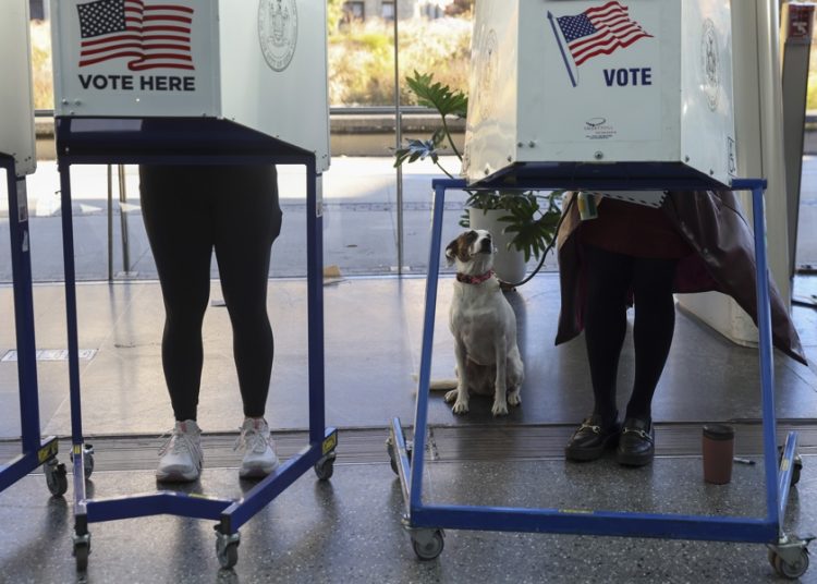 Elecciones locales ponen a prueba la influencia de Trump