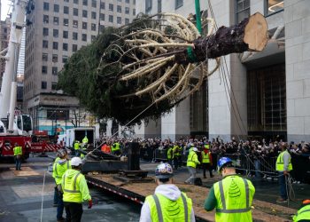 Llega al Rockefeller Center su famoso árbol de Navidad