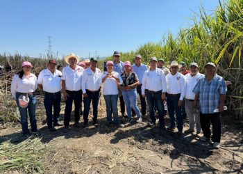 Inicia la zafra 2025–2026 para fortalecer el sector cañero
