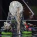 Dos jurados de Miss Universo renuncian por presunto fraude