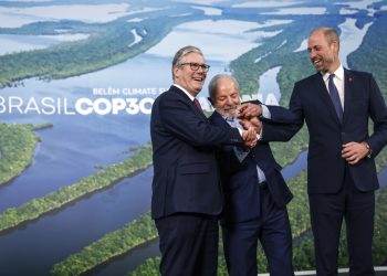 ONG mexicanas piden acciones ambientales rumbo a la COP30