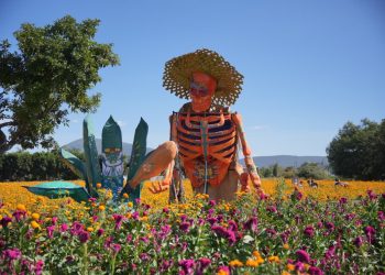 Puebla celebra con éxito la temporada de Día de Muertos 2025