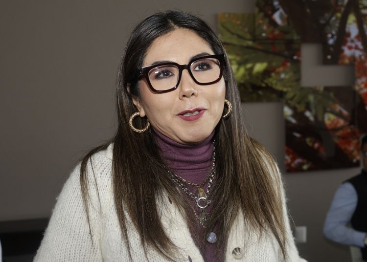 PAN critica a Morena por recorte presupuestal en salud y seguridad pública