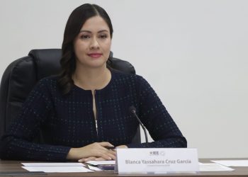 INE podría designar al perfil que ocupará la vacante del IEE