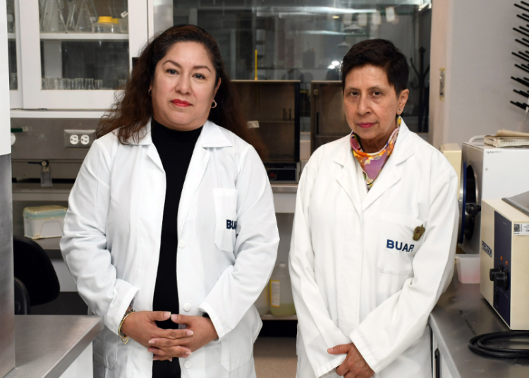 Esteroides anabólicos para tratar patologías con pérdida muscular