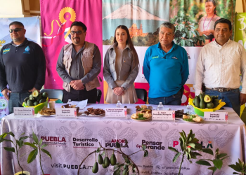 ¿Fan del Aguacate? Atlixco te invita a la Feria del Aguacate 2025 (Video)