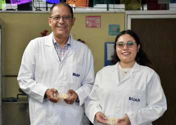 Investigadores BUAP estudian antimicrobianos de origen natural
