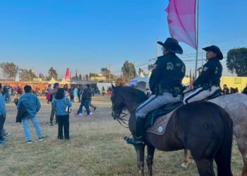 Reporta San Andrés Cholula saldo blanco en Festival Tecate Comuna