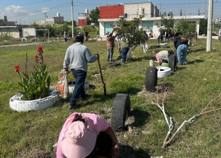 Ayuntamiento fortalece acciones de reforestación con 2 mil 600 árboles