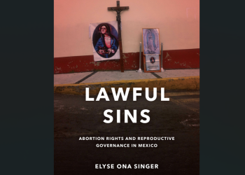Lawful Sins por Elyse Ona Signer