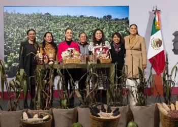 Gobierno presenta plan Nacional de Maíz Nativo